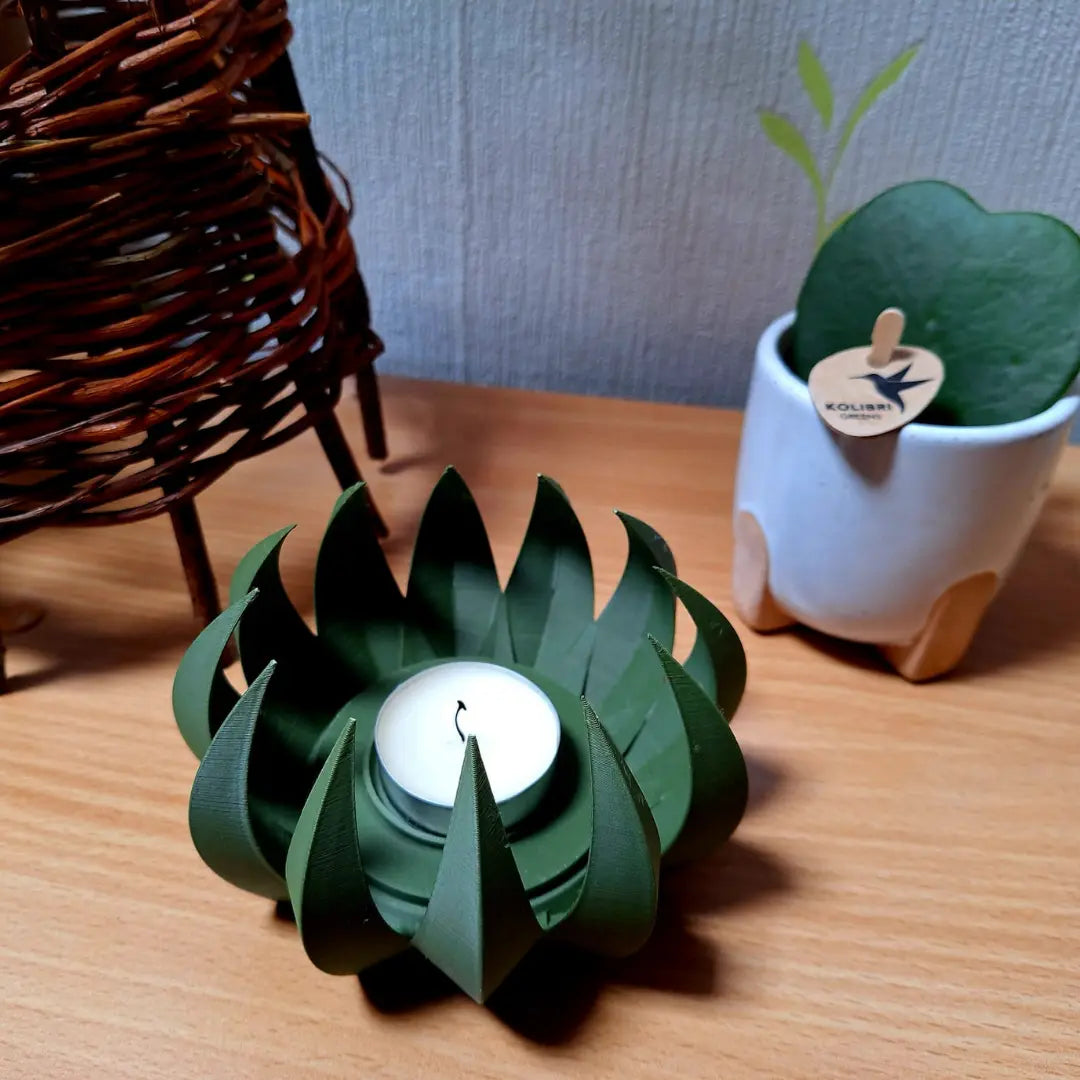 Photophores Vasotopia